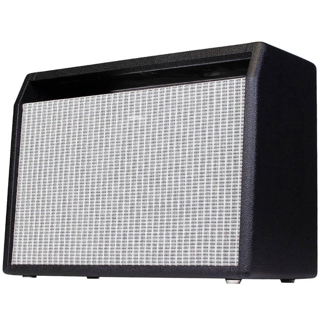Custom 1964 Black Faceplate P-Verb AA1164 12W 1x12 Combo Cabinet