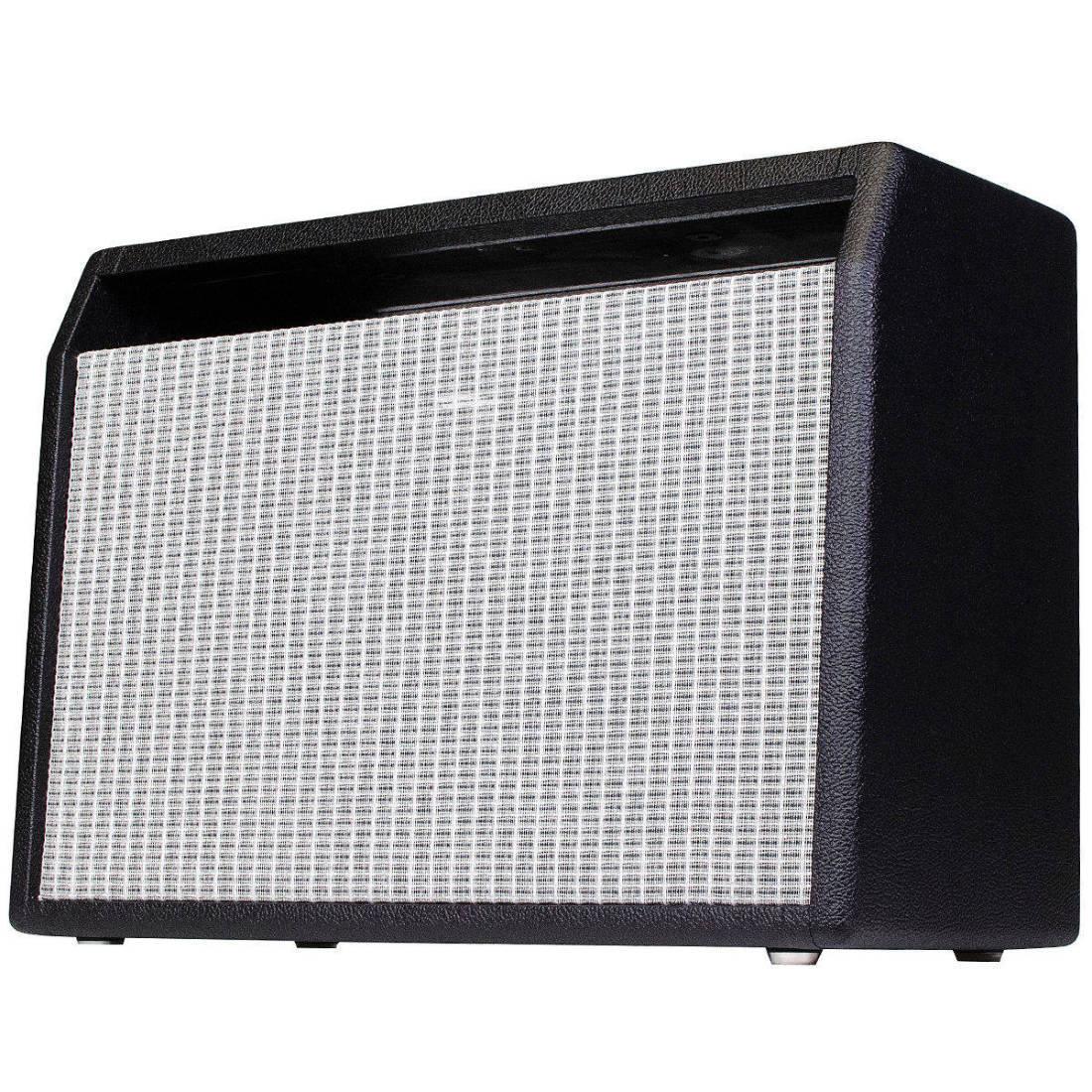 Custom 1964 Black Faceplate P-Verb AA1164 12W 1x10 Combo Cabinet