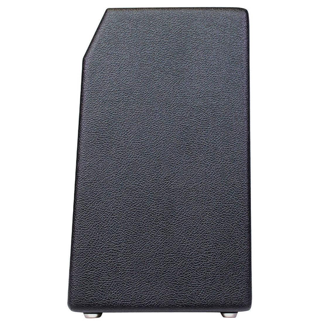 Custom 1964 Black Faceplate P-Verb AA1164 12W 1x10 Combo Cabinet - Image 4