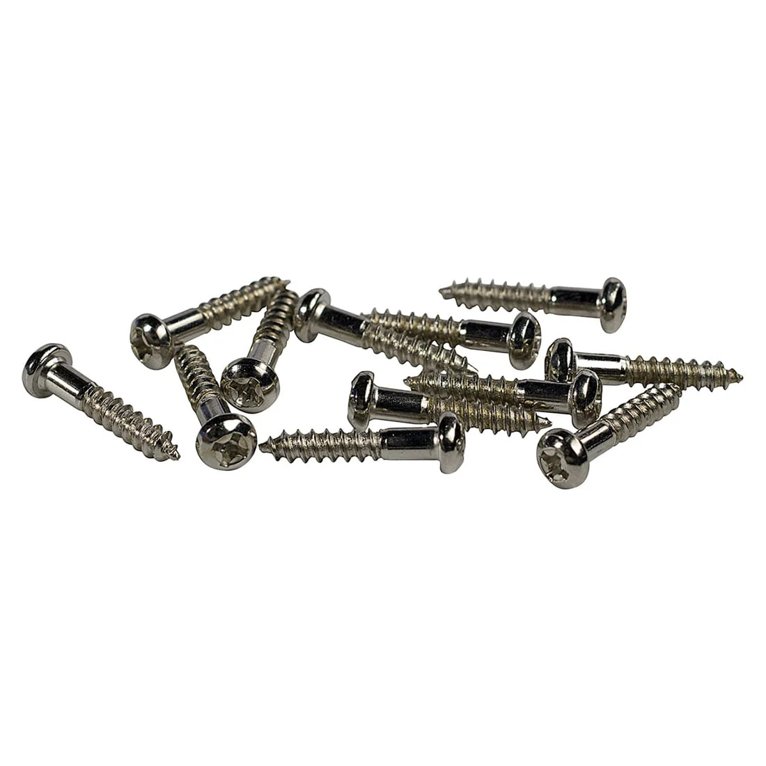 Stainless Round Head Phillips Wood Screw For Handles (Set of 12)